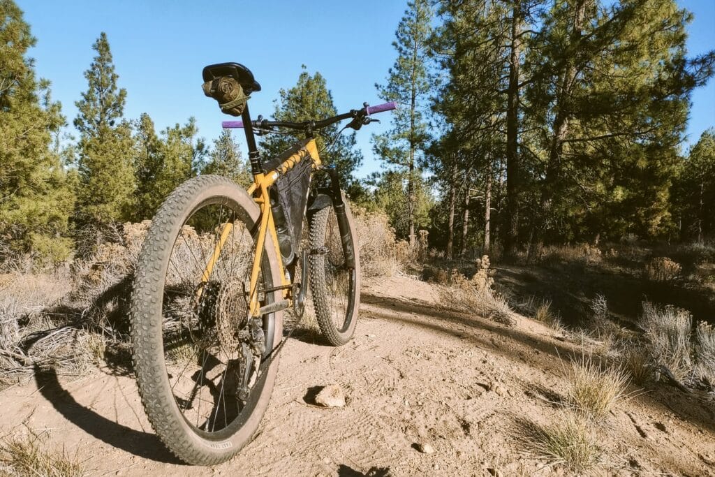 Rear view of a Ritchey Ultra mountain bike.