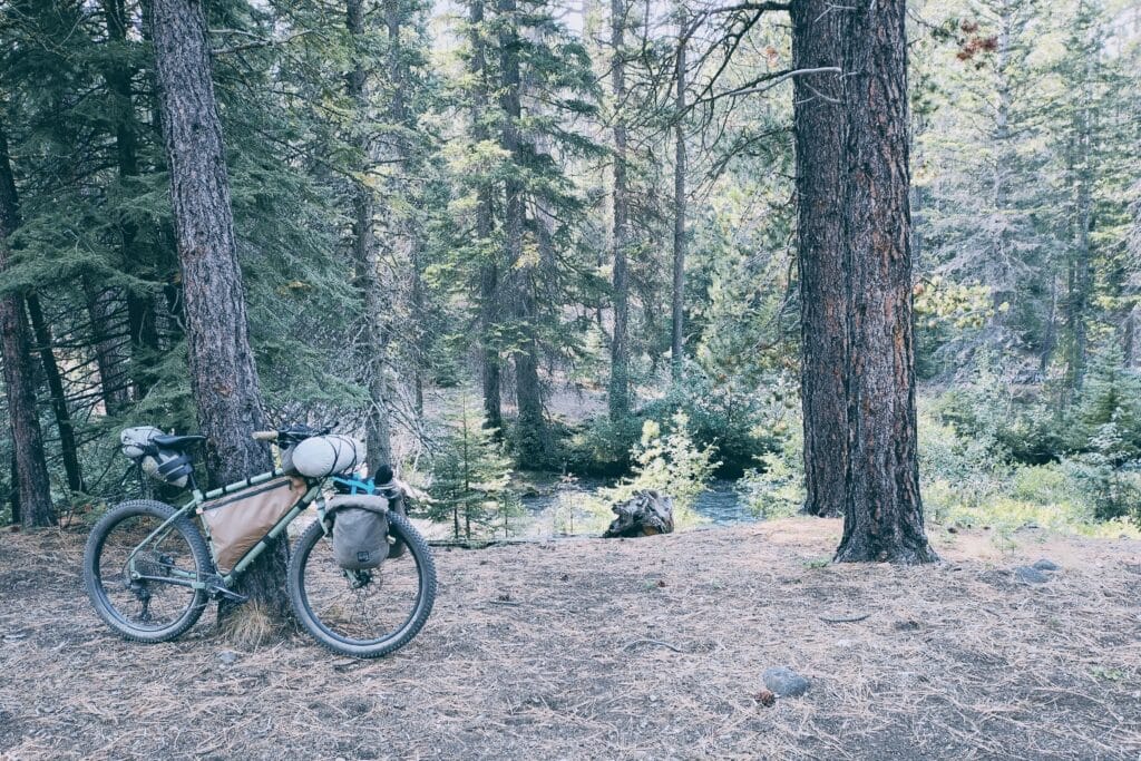 Surly Grappler bikepacking setup near a creek in a pine forest.