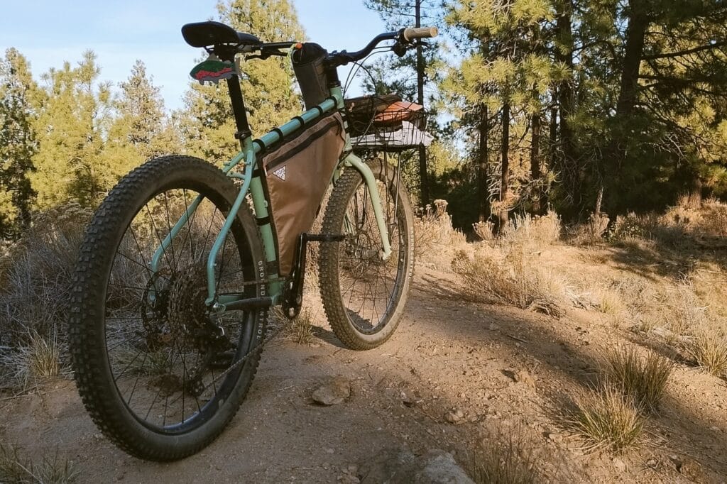 Rear view of a loaded Surly Grappler in a pine forest.