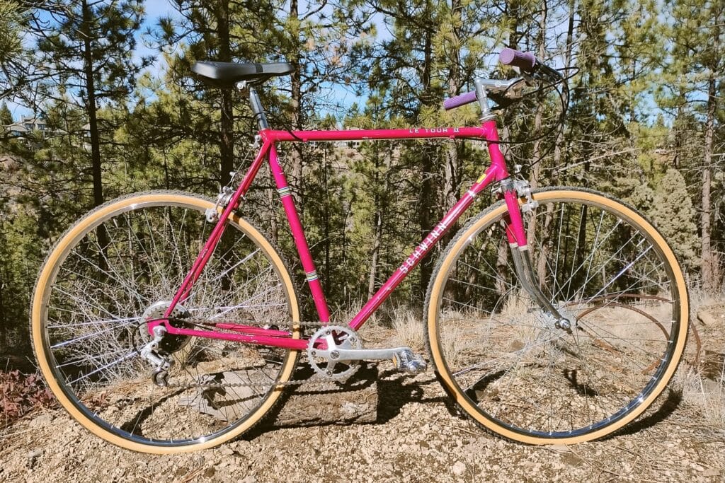 1977 Schwinn Le Tour II converted to a flat bar 1x setup in a forest.