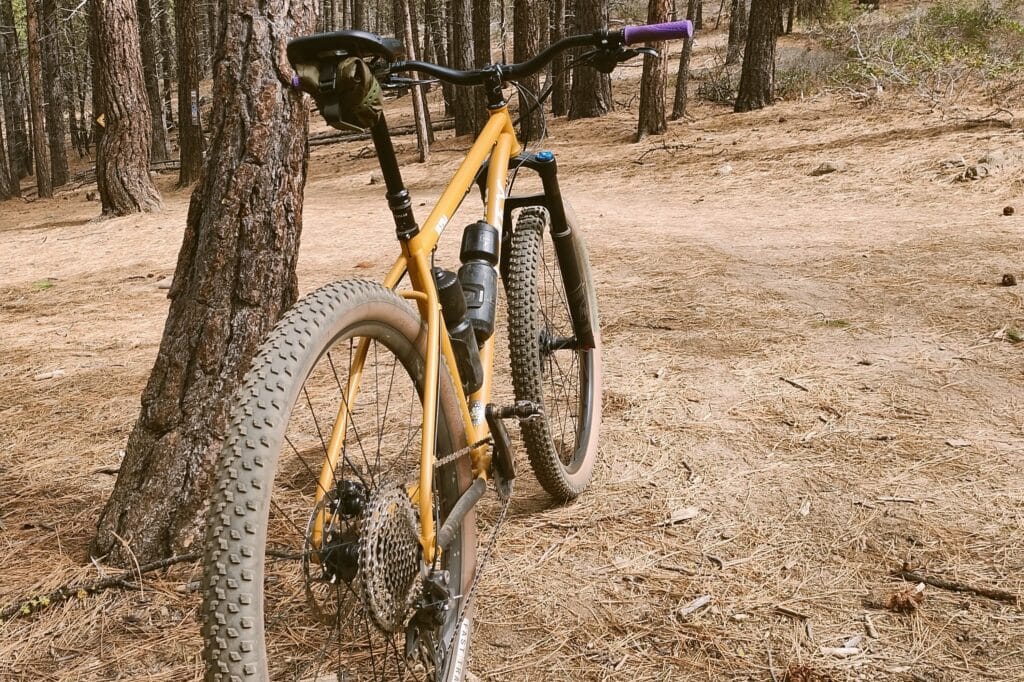 Ritchey Ultra leaned against a pine tree in a forest full of pine needles.
