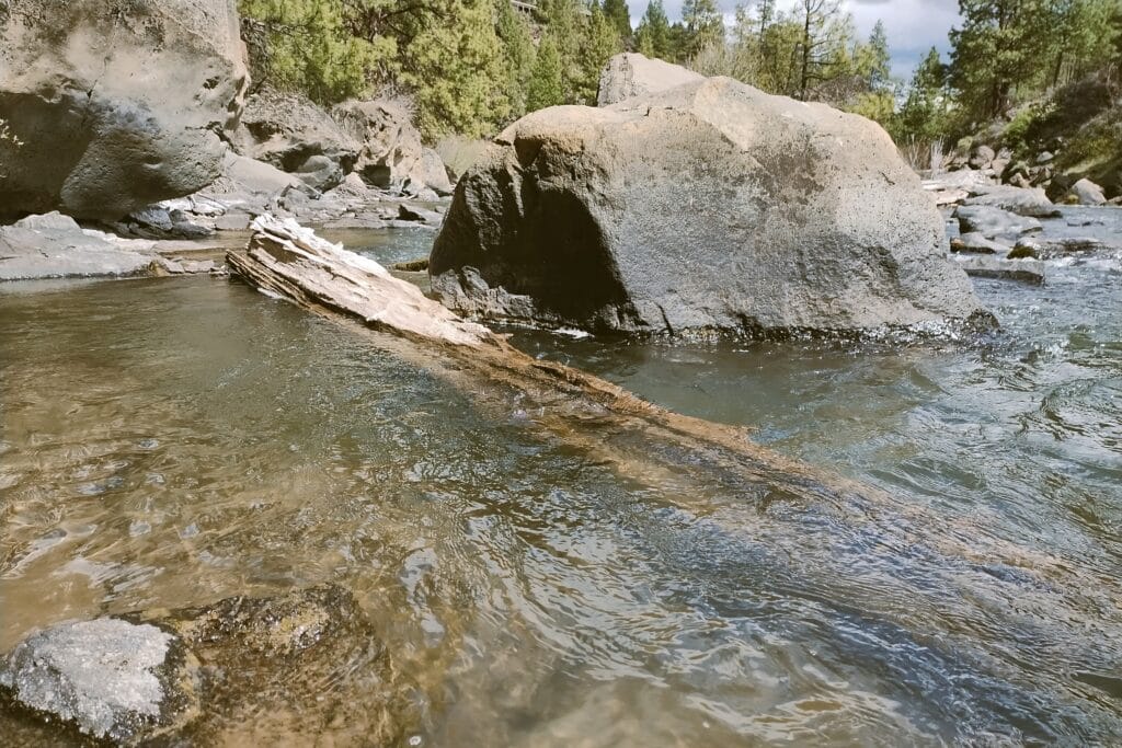 Boulders and downed tree in the Deschutes River.