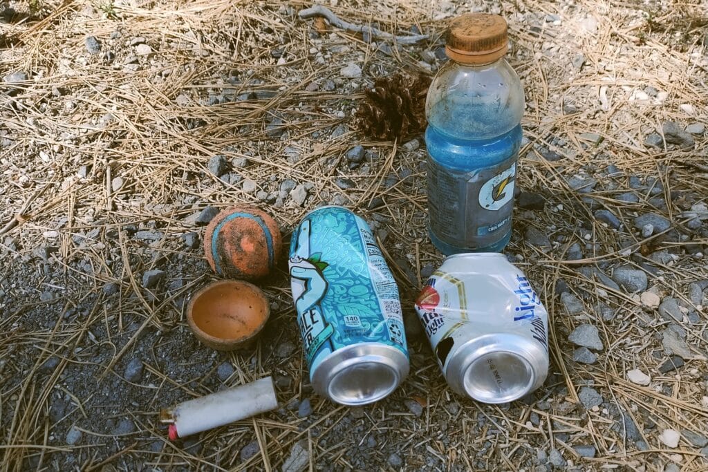 Dog toys, lighter, and drink trash.