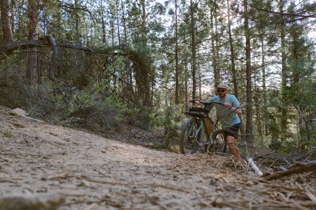 A man pushing his bike up a hill in a pine forest.