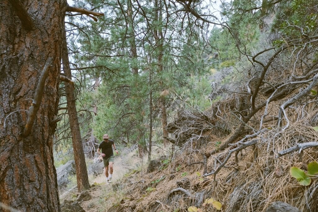 A man running up a trail in a pine forest.