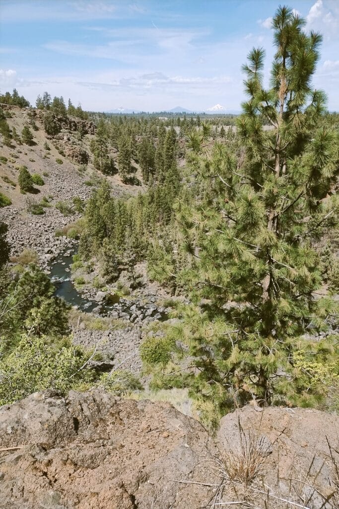 View from on top of a canyon rim overlooking the Deschutes river with mountains on the horizon.