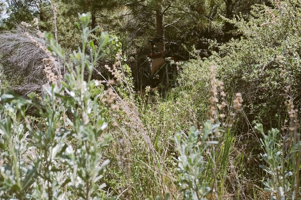 A fully loaded Surly Grappler hidden in pine trees and sagebrush.