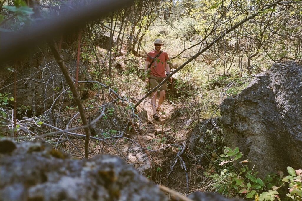 A man hiking down a steep trail through thickets.